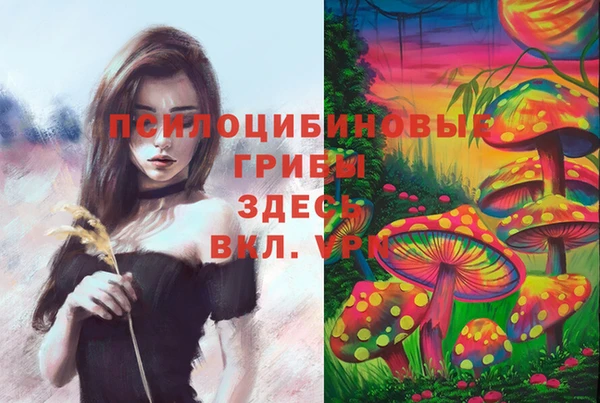 ALPHA-PVP Арсеньев