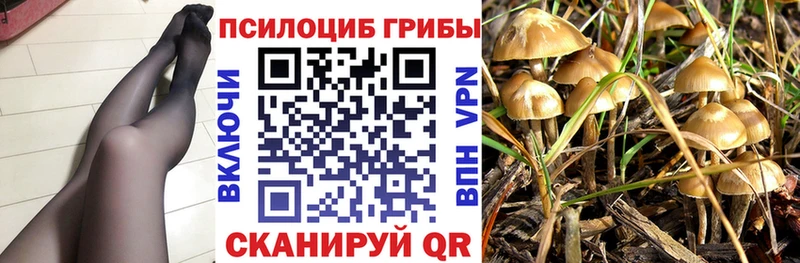 Псилоцибиновые грибы ЛСД Тейково